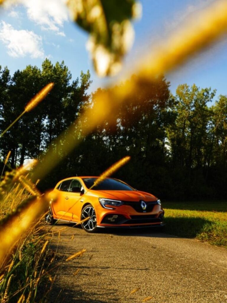 Renault Clio im Autohaus Pirnbacher kaufen